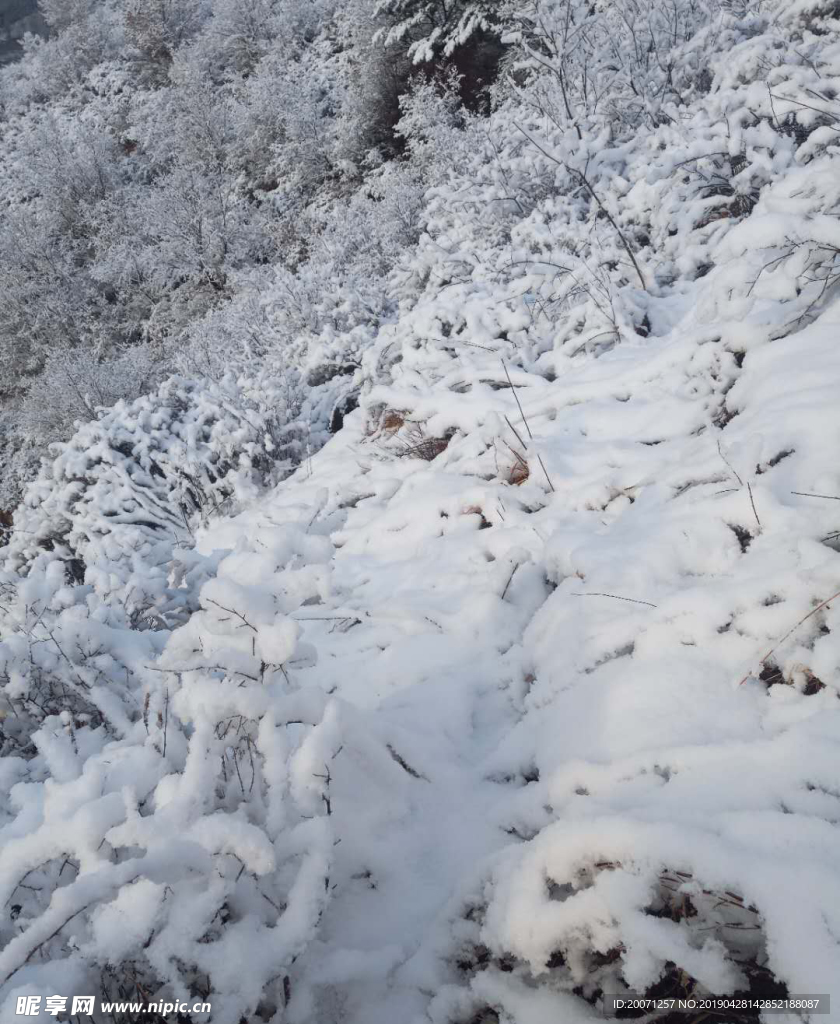 雪