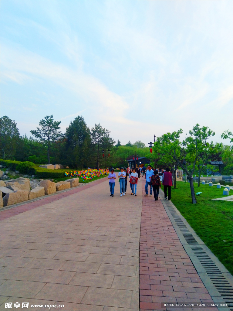 美丽的公园风景