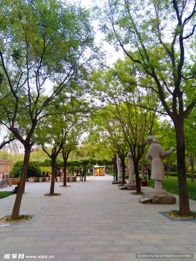 美丽的公园风景