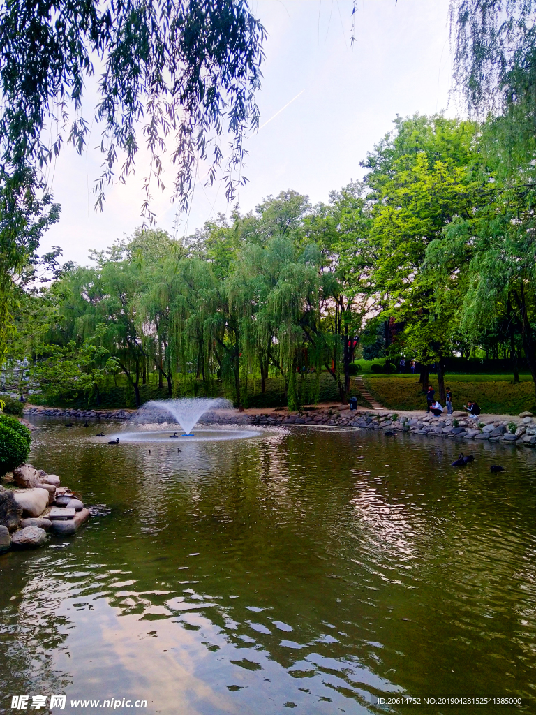 美丽的公园湖泊风景