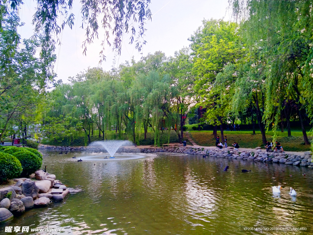 美丽的公园风景