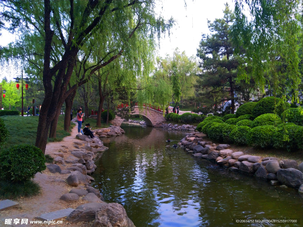 美丽的公园风景