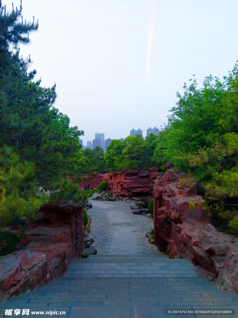 美丽的公园风景