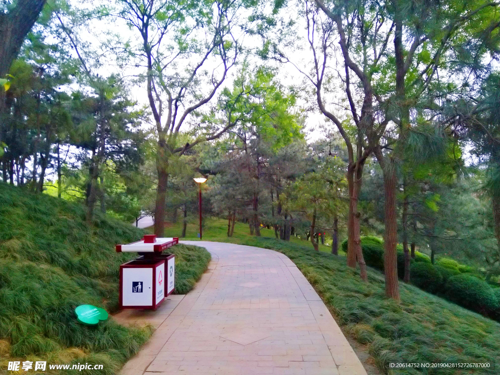 美丽的公园风景