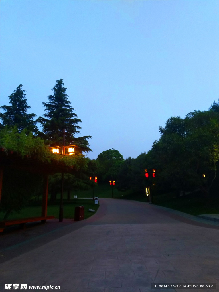 夜色下的公园风景
