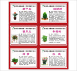 户外花卉名称简介板子