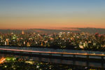 城市