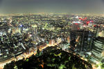 城市