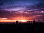 城市