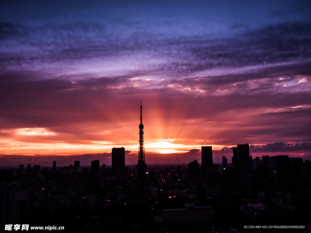 城市