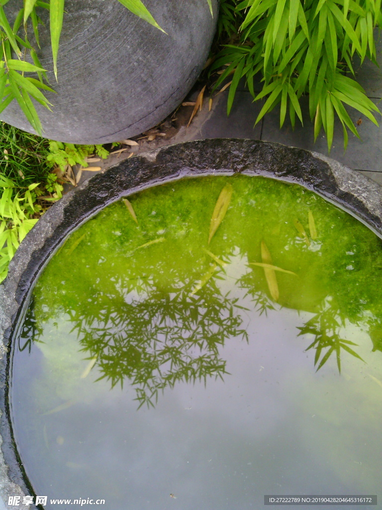 水缸中的风景