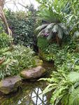 温室植物园
