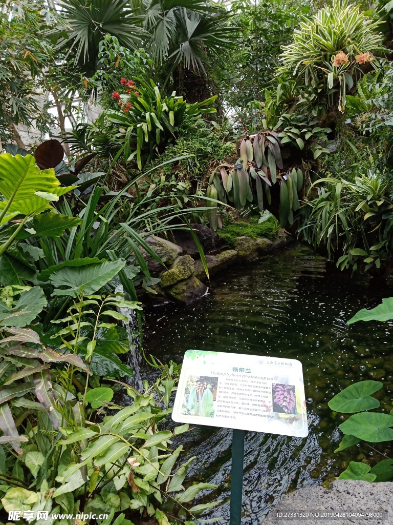 植物园