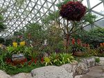 温室植物园