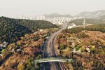 佛慧山