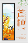 芒种海报