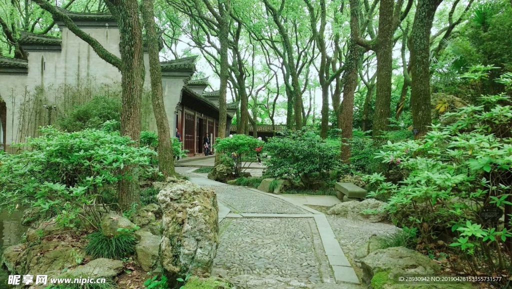 小清新春季