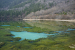 四川 九寨沟