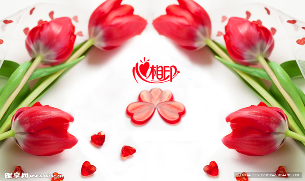 玫瑰花电视背景墙