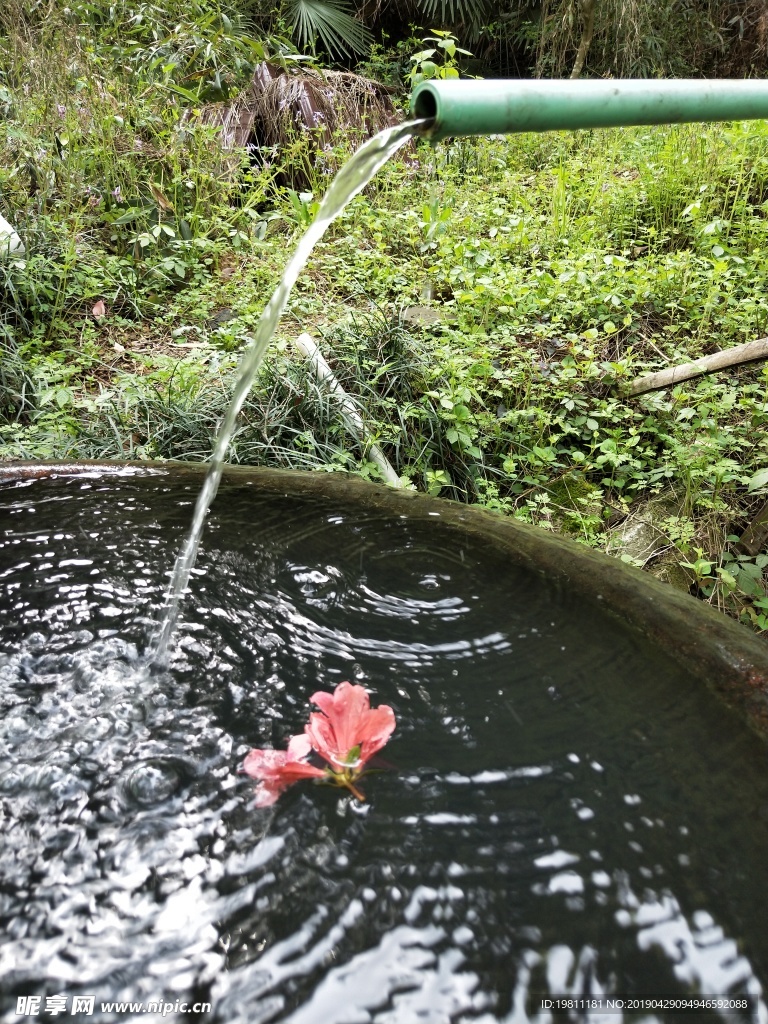 山间一花