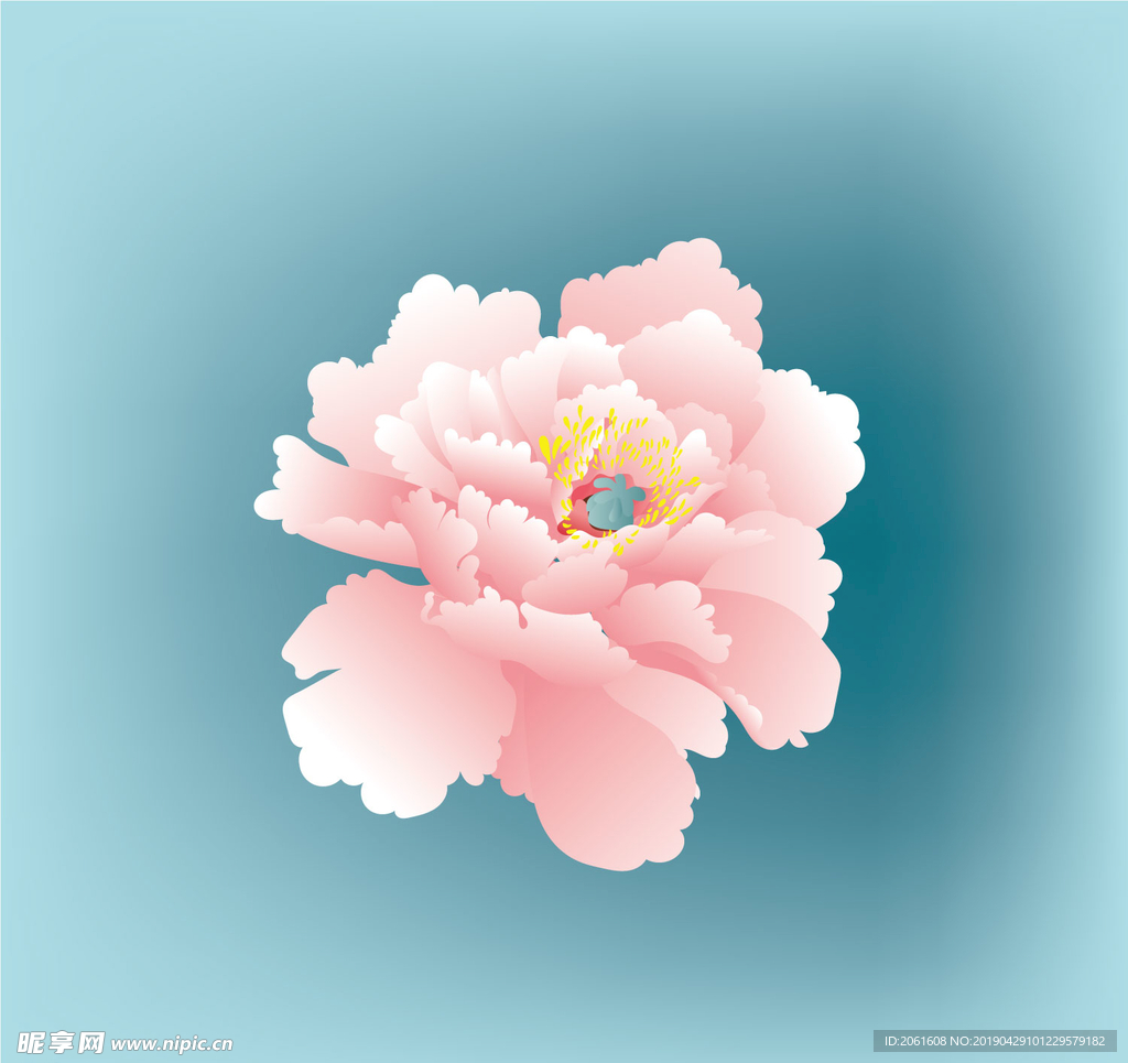 牡丹花