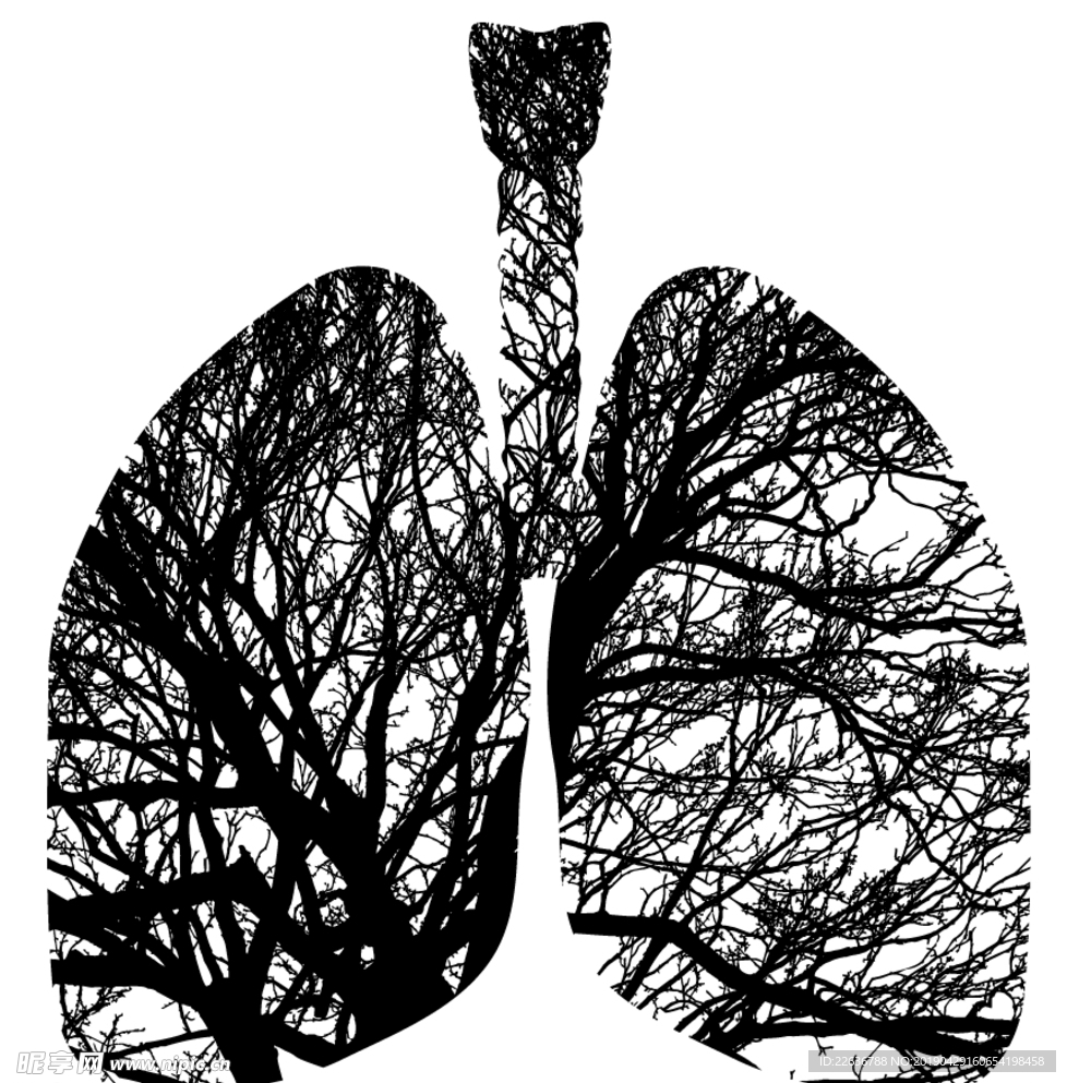 肺图片矢量图片健康图片呼吸健康