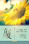 立夏