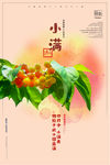 小满节气