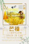 芒种海报