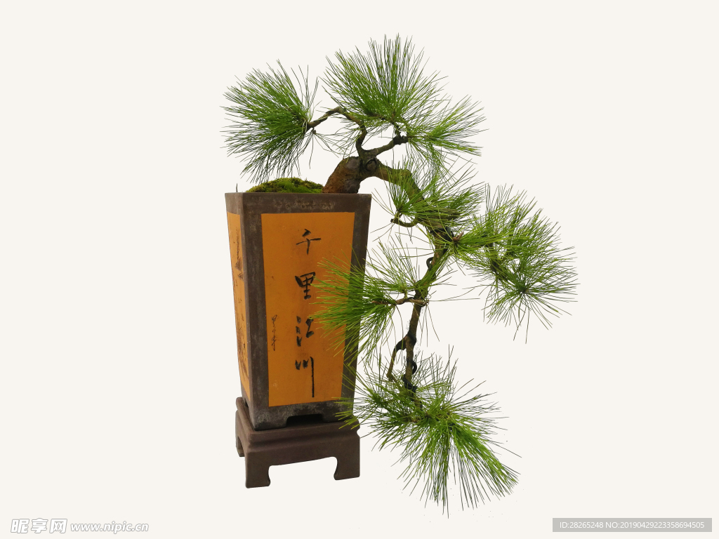 盆景
