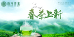 春茶