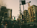 城市