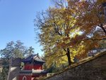 香山风景