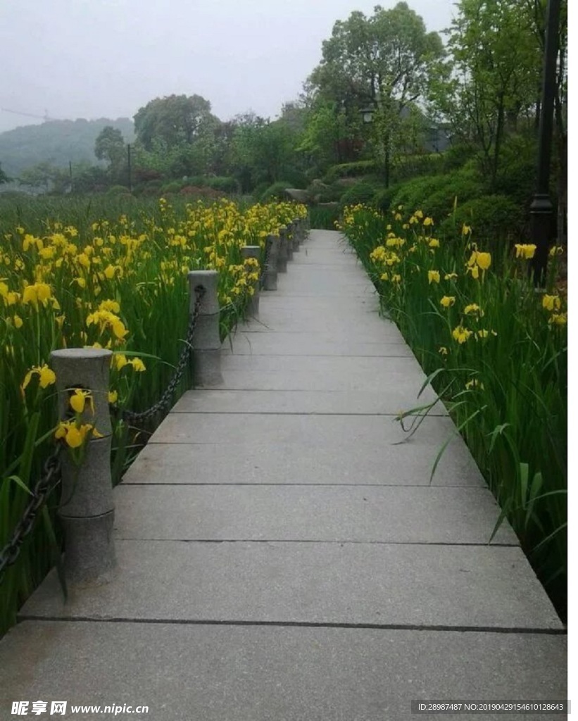 公园花径