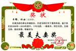 结婚证 奖状
