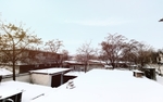 农村雪景