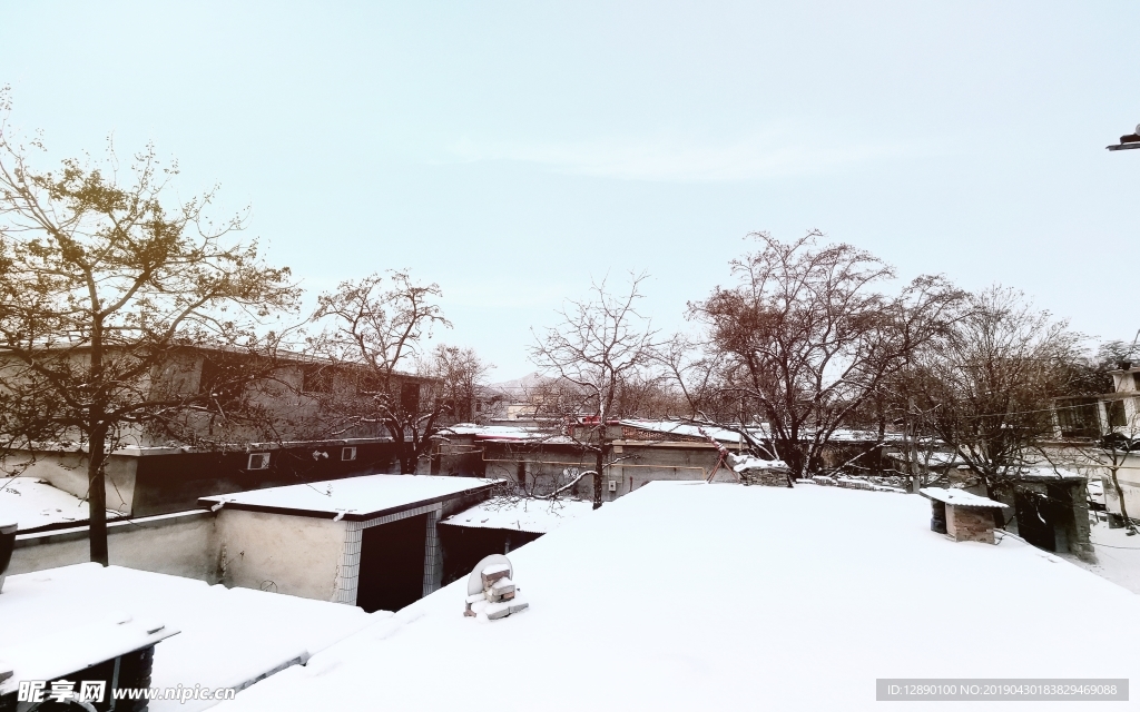 农村雪景