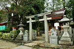 日本 京都 神社