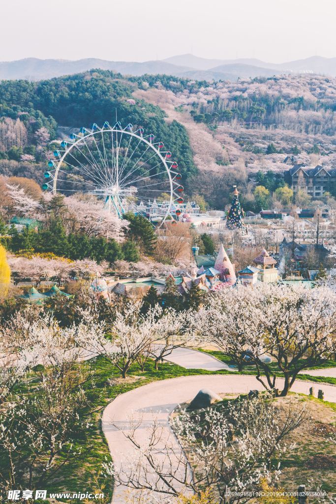 旅游