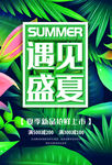 盛夏