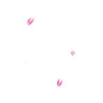 花瓣