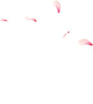 花瓣