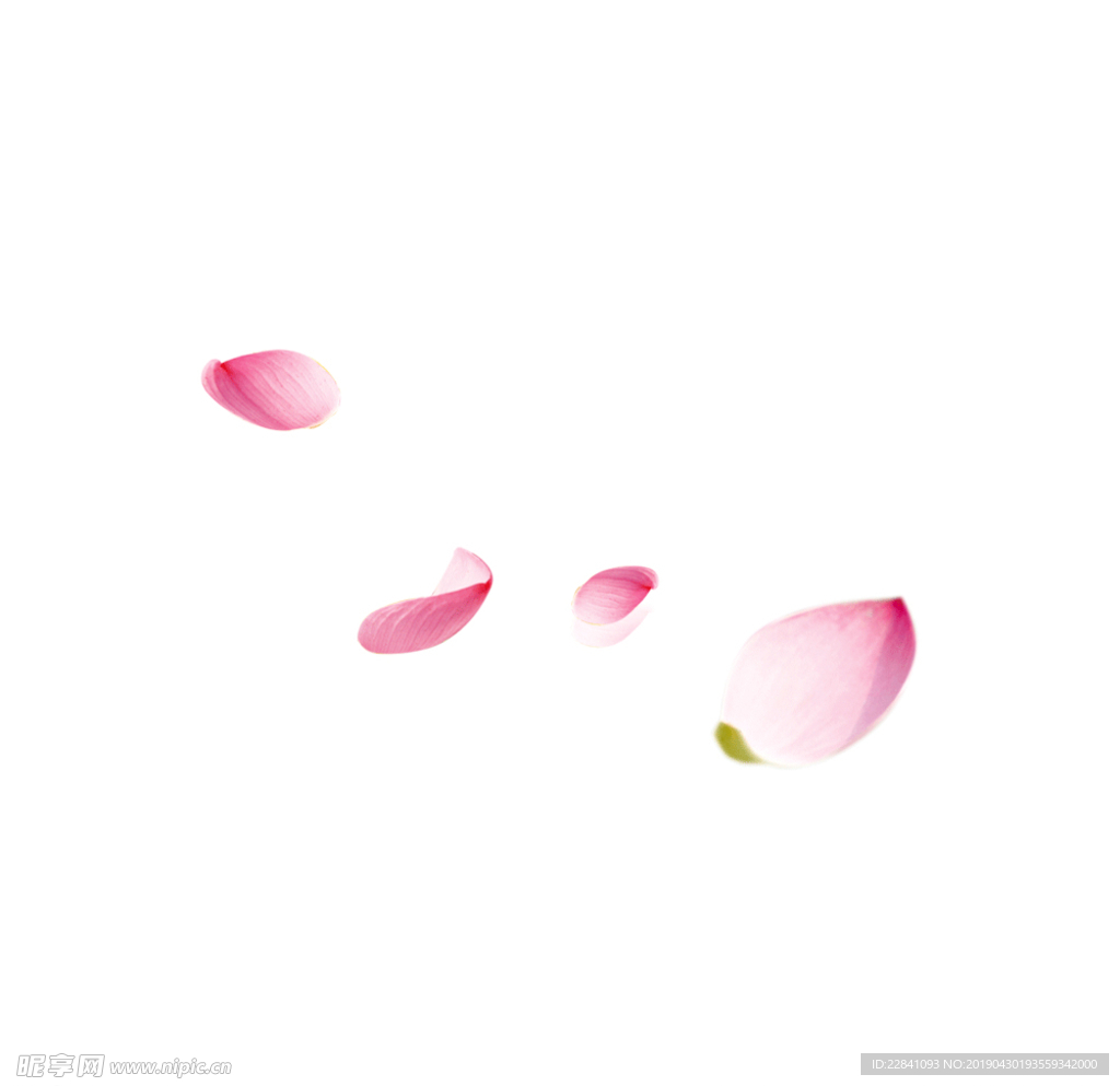 花瓣