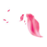 花瓣