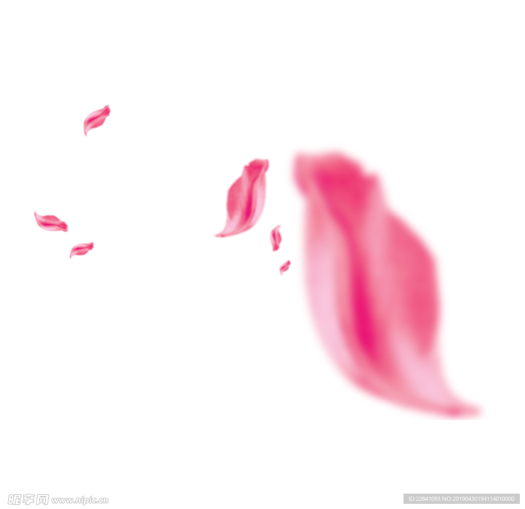 花瓣