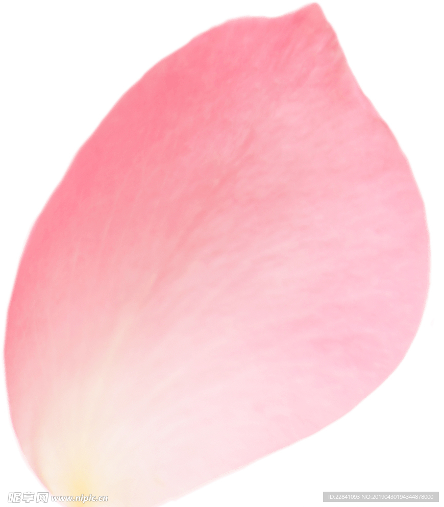 花瓣