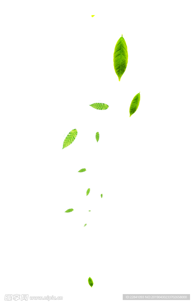 树叶素材