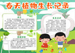 植物生长记录小报