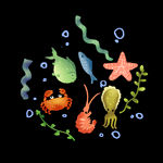 海洋生物