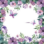 紫色的花朵边框
